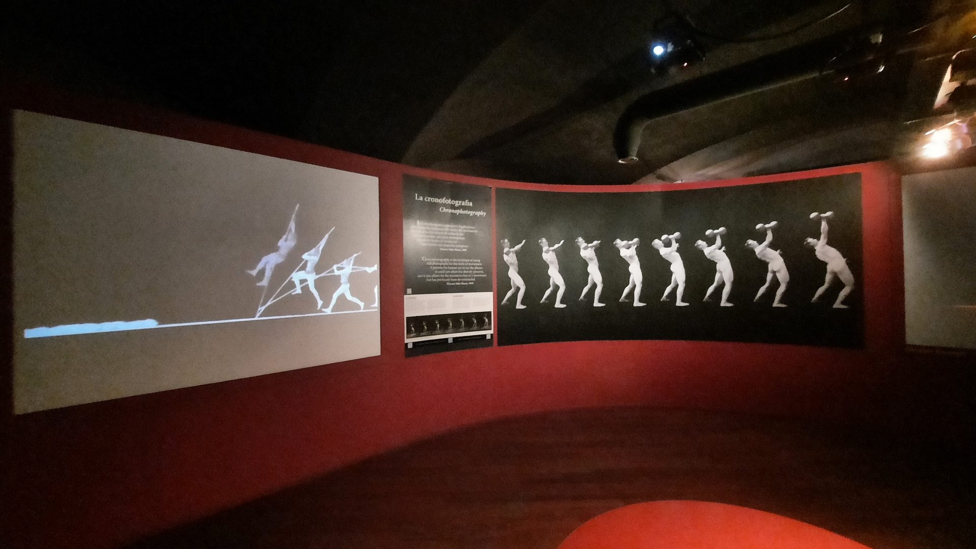 Chronophotography's section, Museo Nazionale del Cinema, Turin - 01.jpg
